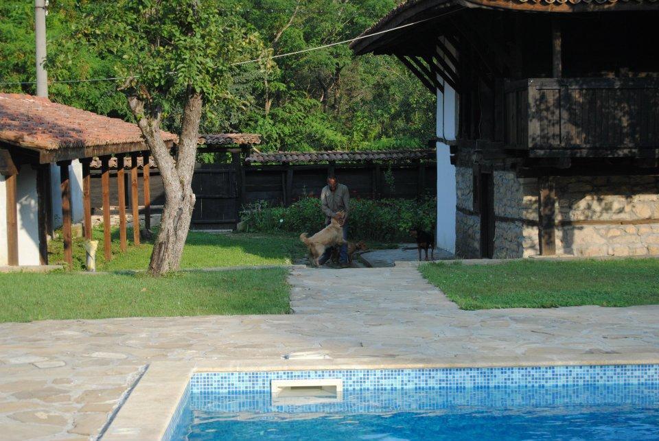 Hotel Ecopark Elena Exterior foto