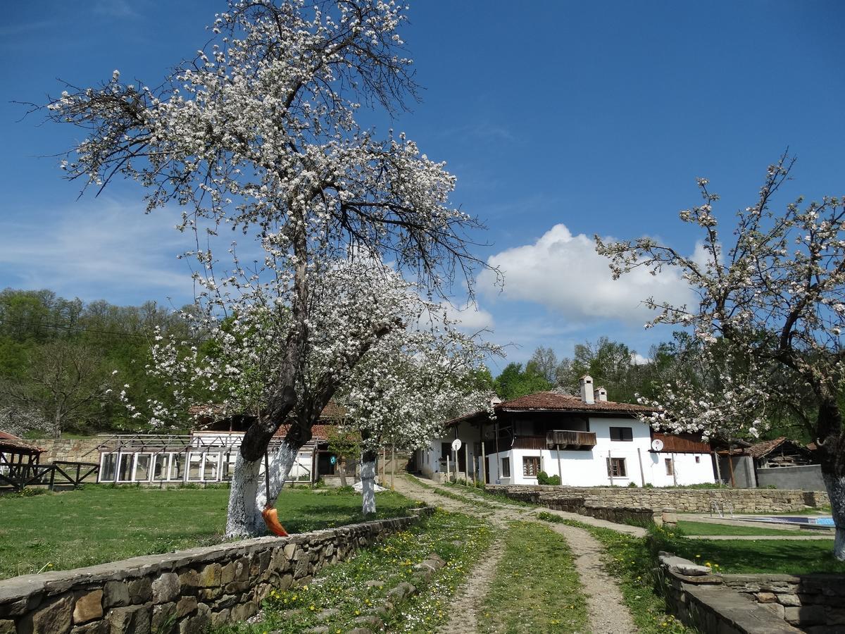 Hotel Ecopark Elena Exterior foto